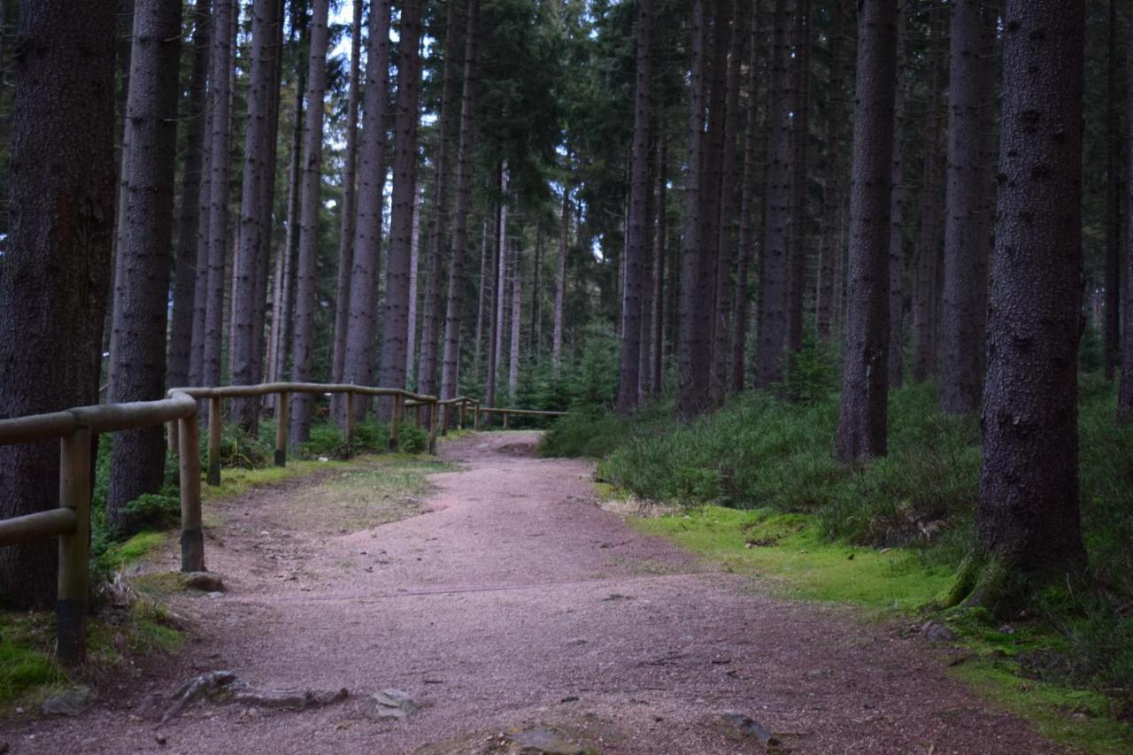 Grand Harrachov Pension V Centru Екстериор снимка