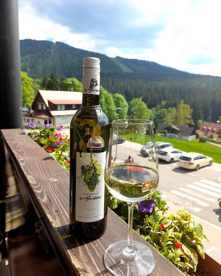 Grand Harrachov Pension V Centru Екстериор снимка